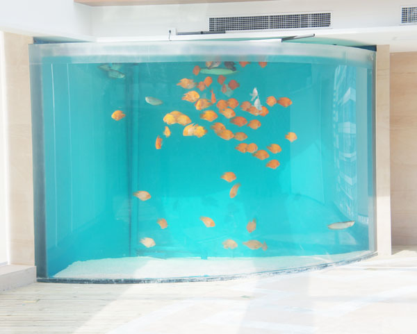 哈爾濱酒店亞克力魚(yú)缸